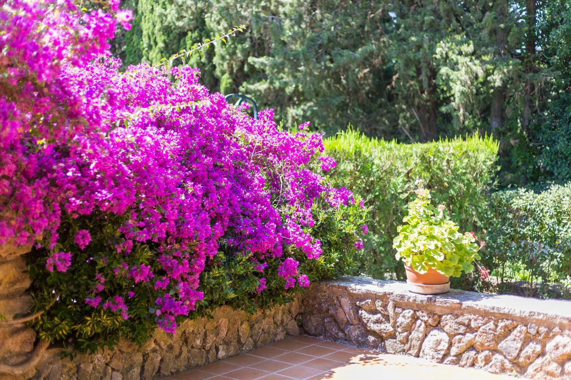 Fangar Agroturismo كامبانيت المظهر الخارجي الصورة