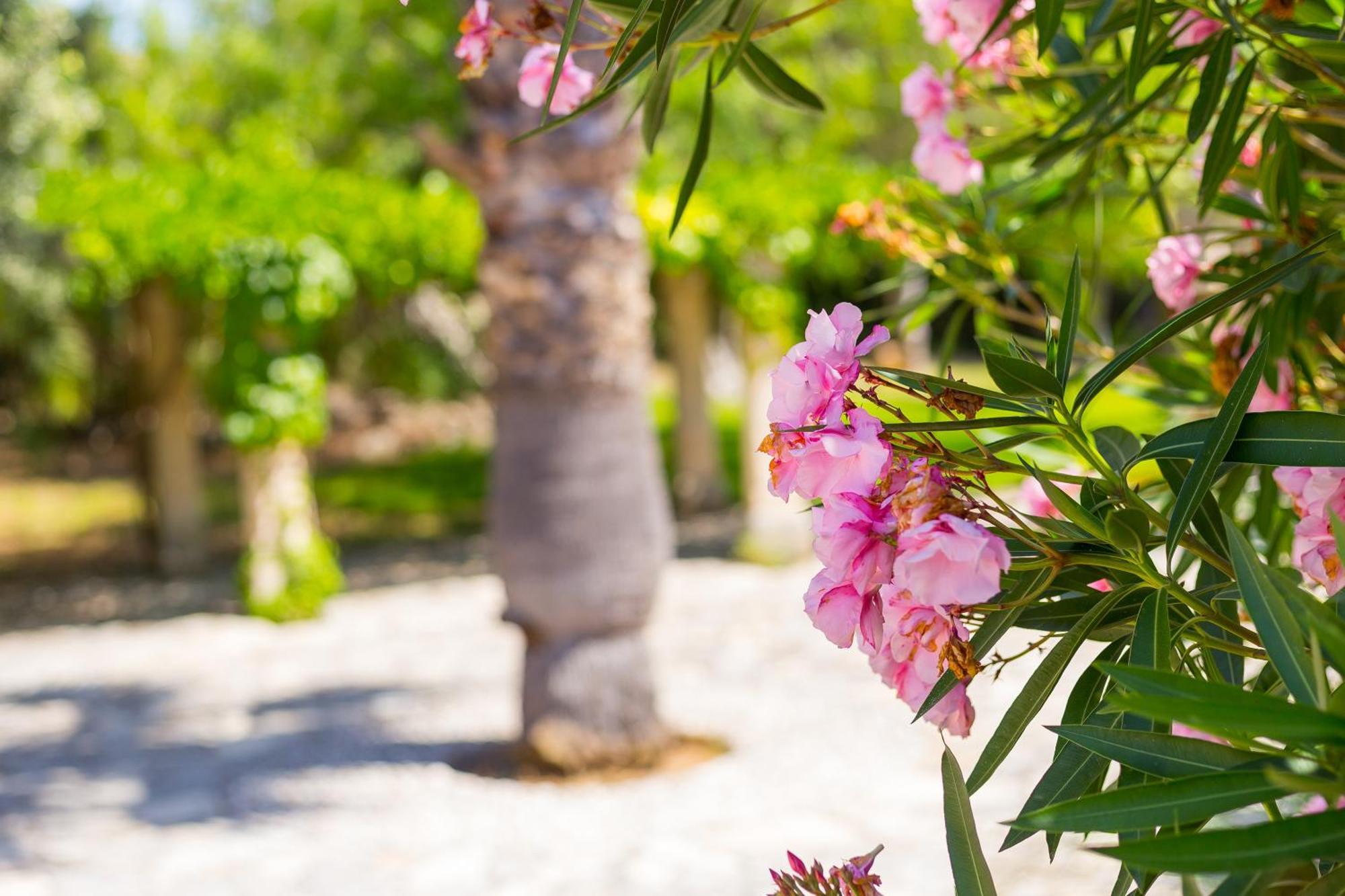 Fangar Agroturismo كامبانيت المظهر الخارجي الصورة