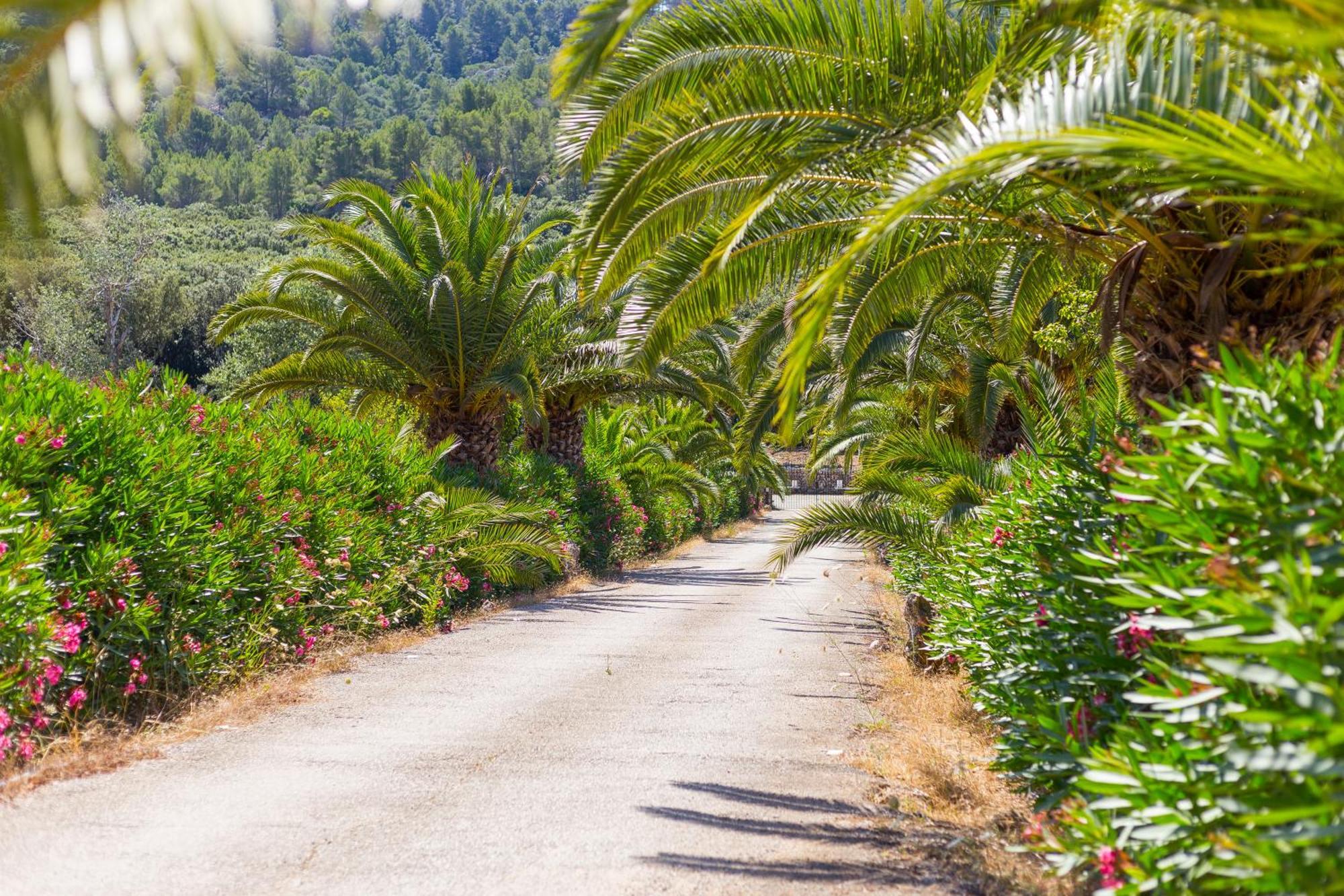 Fangar Agroturismo كامبانيت المظهر الخارجي الصورة